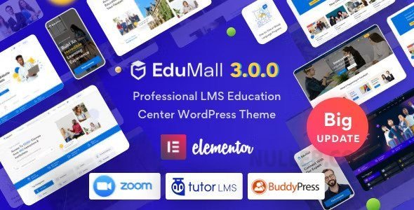 EduMall v4.0.6 – Professional LMS Education Center WordPress Theme